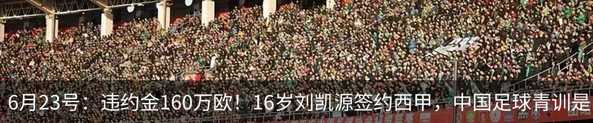 新闻动态